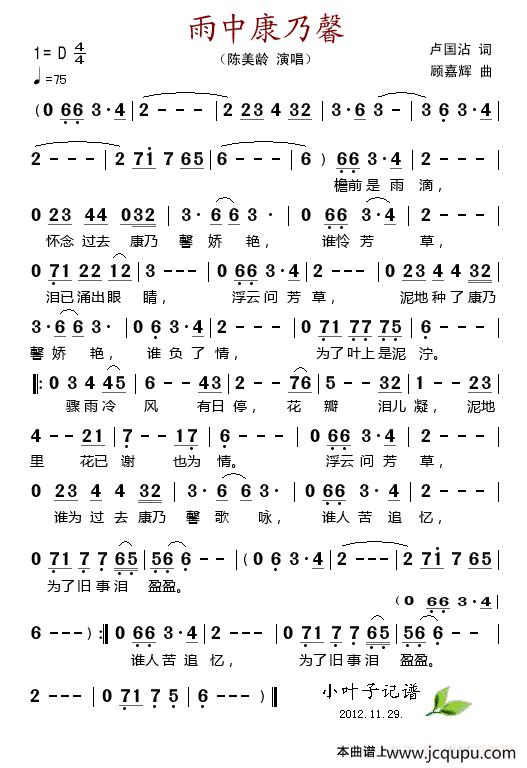 雨中康乃馨简谱