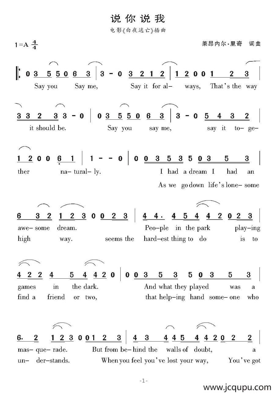 [美]说你说我（电影《白夜逃亡》插曲）简谱
