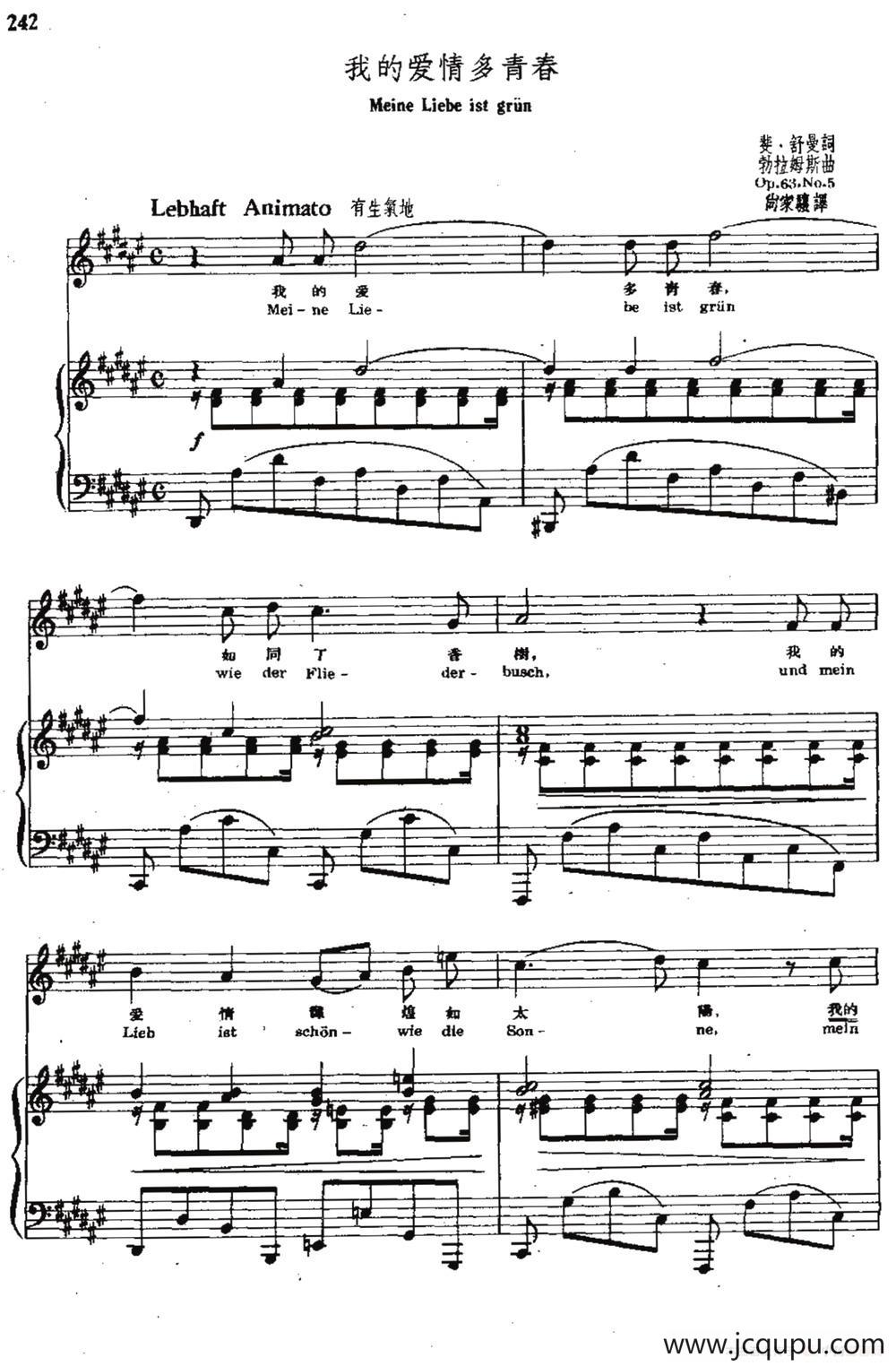 我的爱情多青春（中外文对照、正谱）简谱