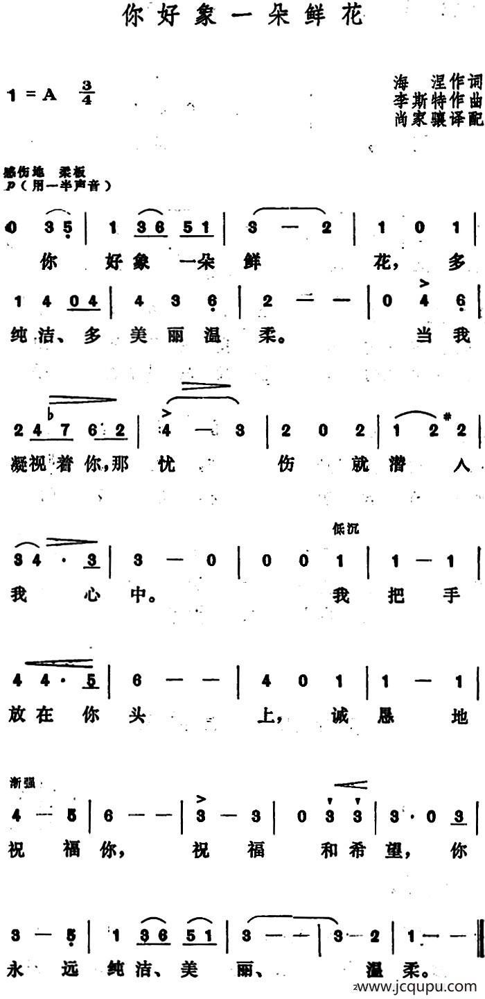 [匈]你好象一朵鲜花 简谱