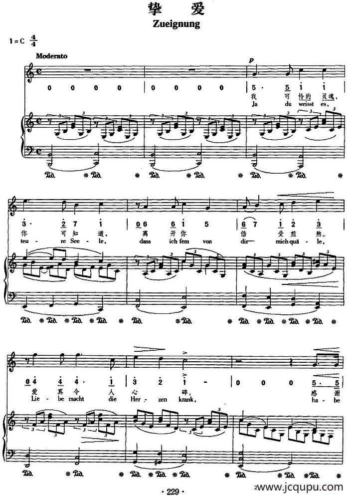 挚爱（正谱、线简谱、中外文对照版）简谱