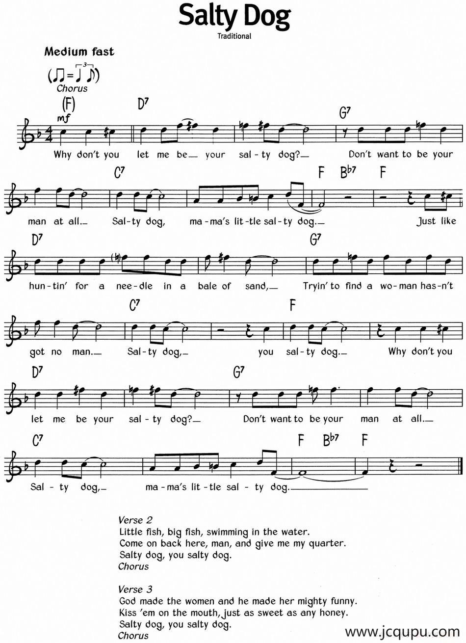 蓝调音乐：Salty Dog简谱