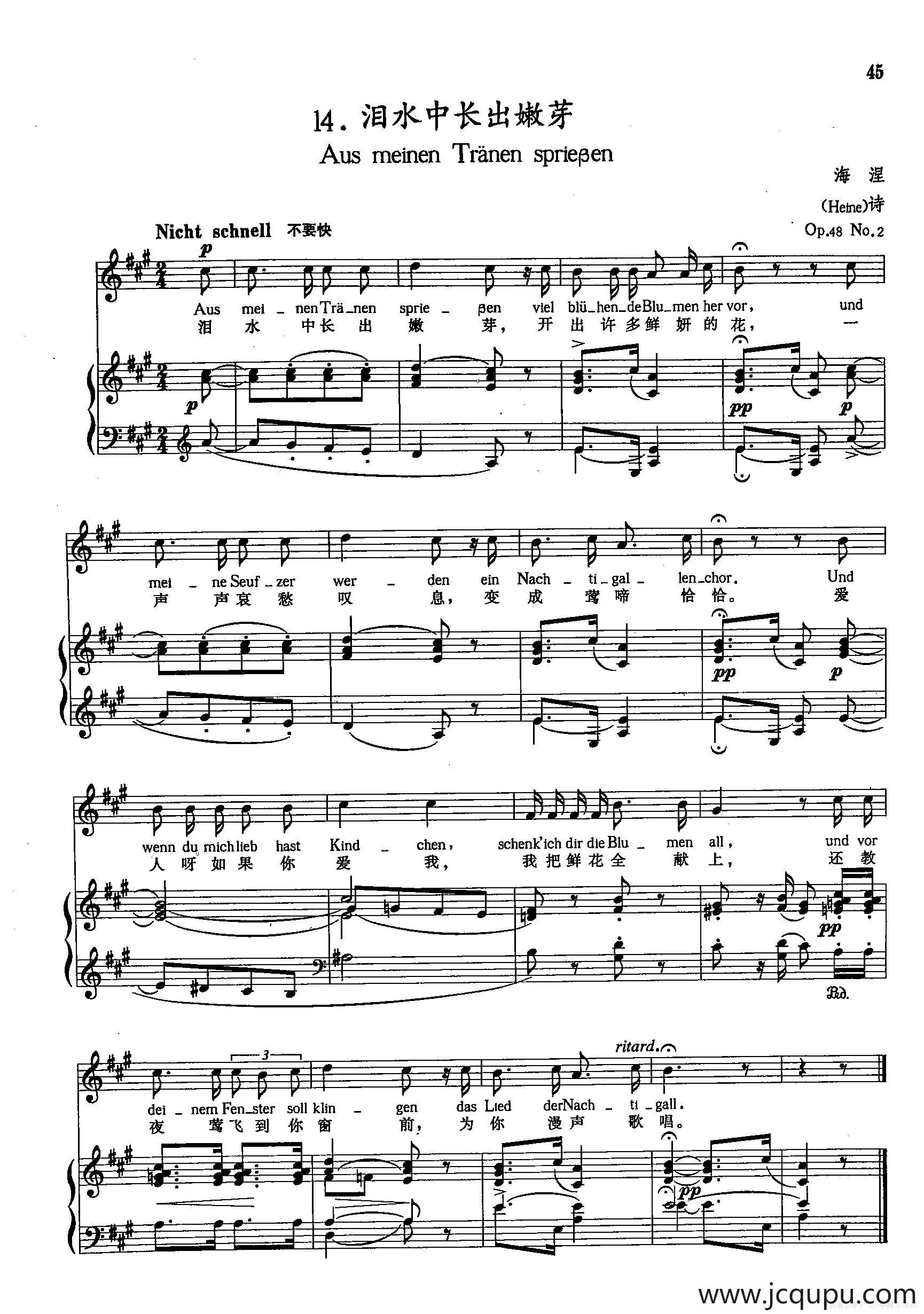 [德]14泪水中长出嫩芽（正谱）简谱