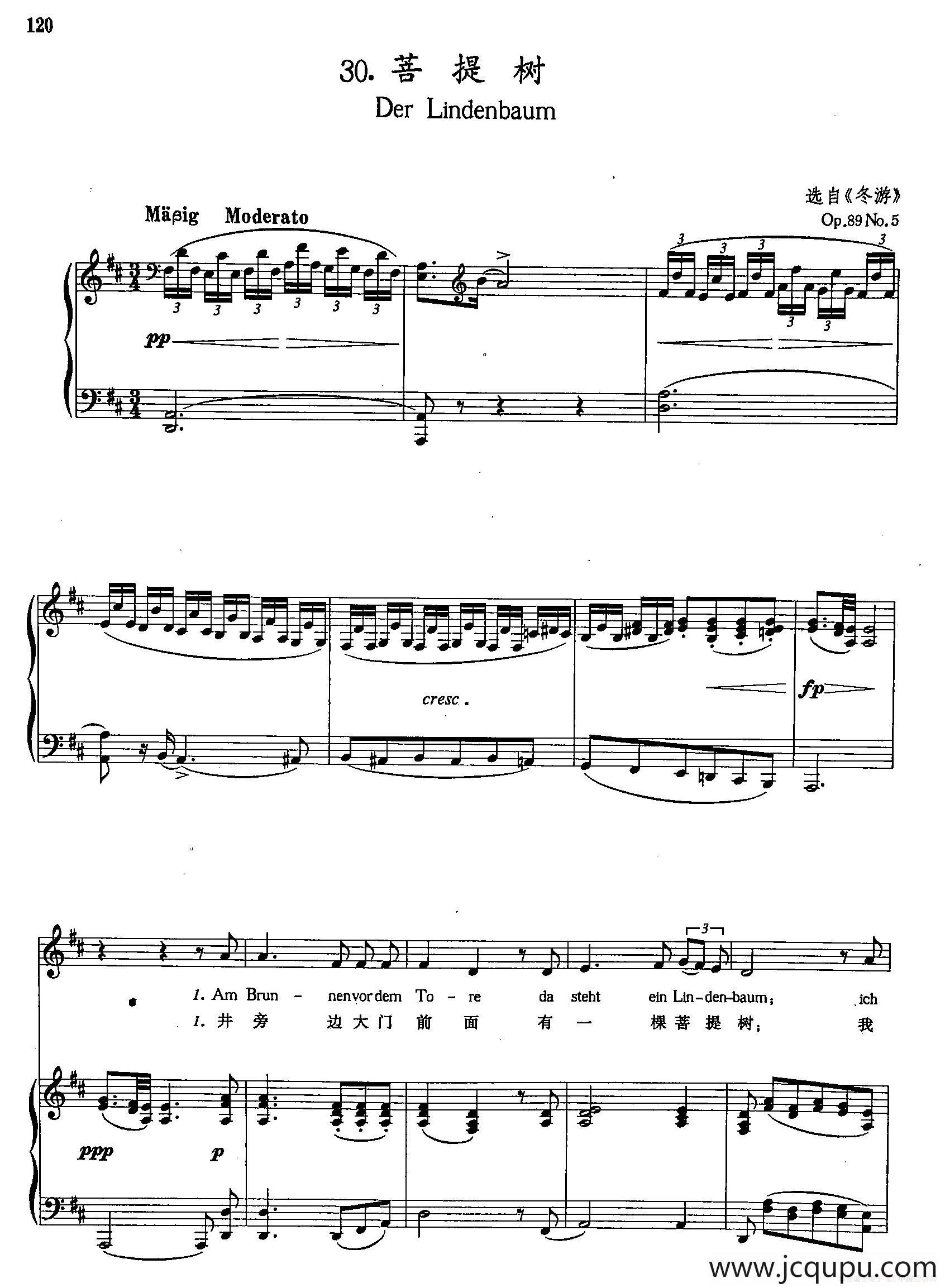 [奥]30菩提树（正谱）简谱