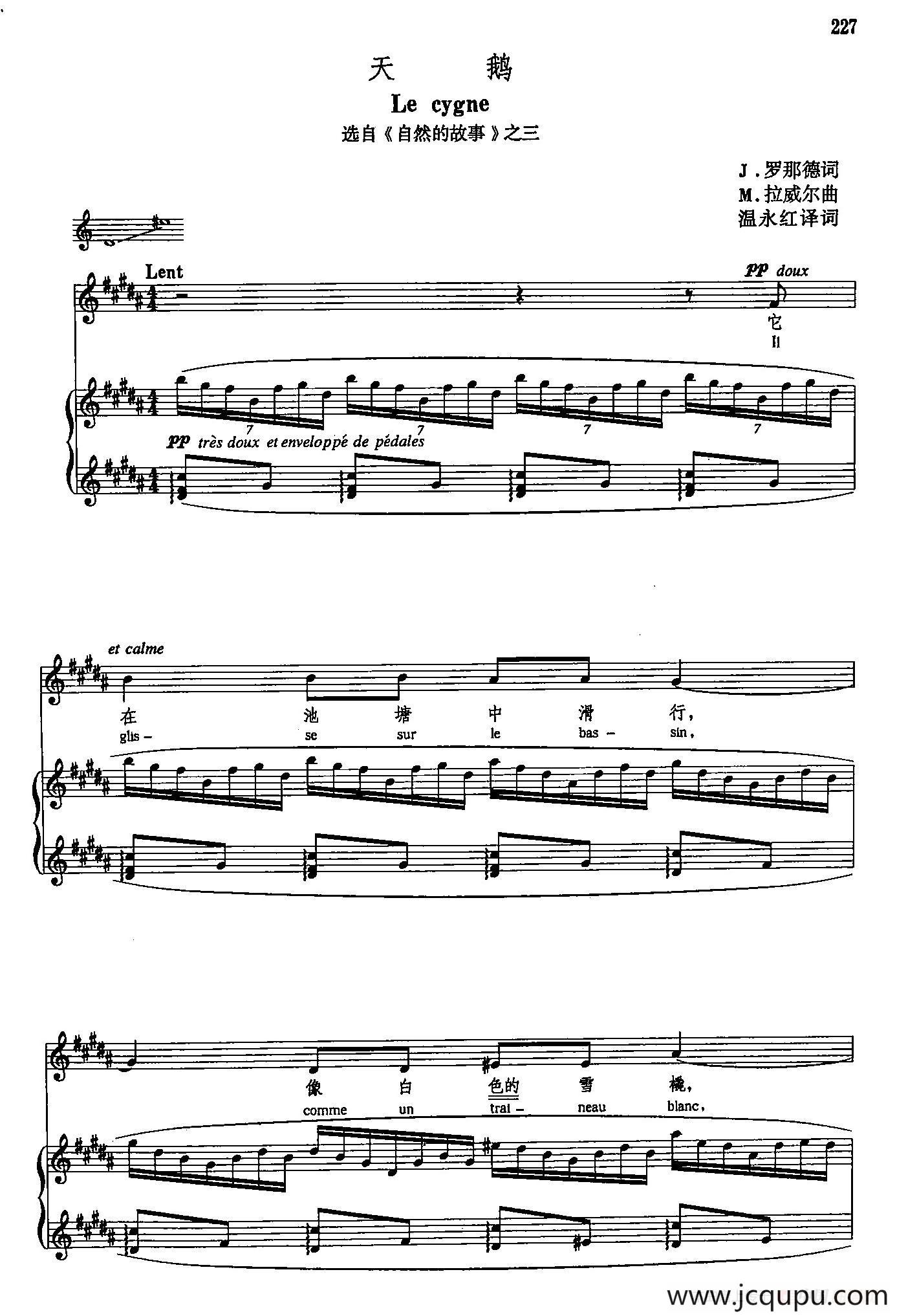 声乐教学曲库5-49天鹅（正谱）（选自《自然的故事》之三）简谱