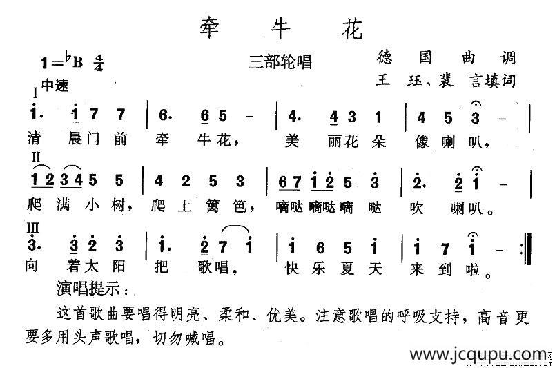 牵牛花（王珏填词版）简谱