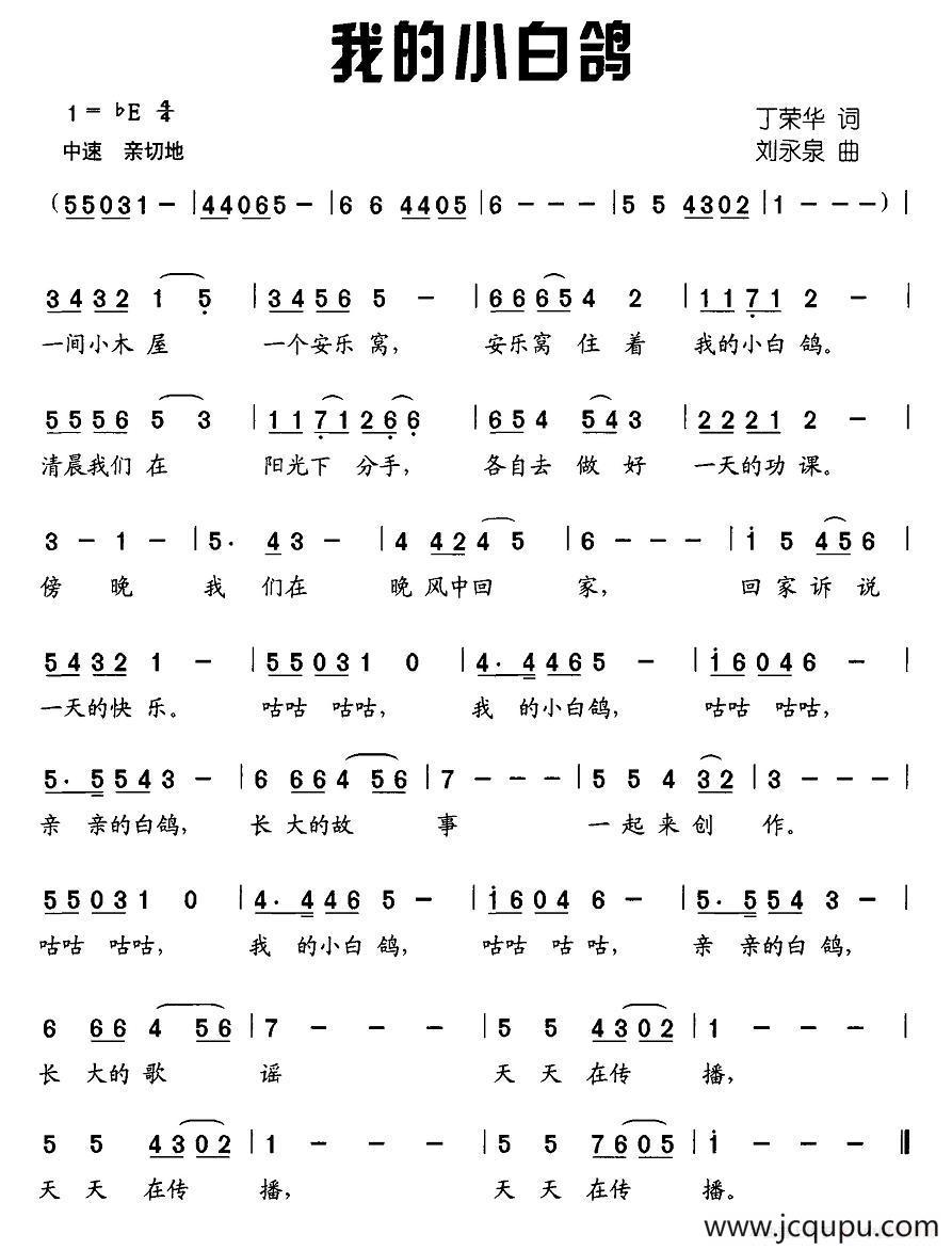 我的小白鸽简谱