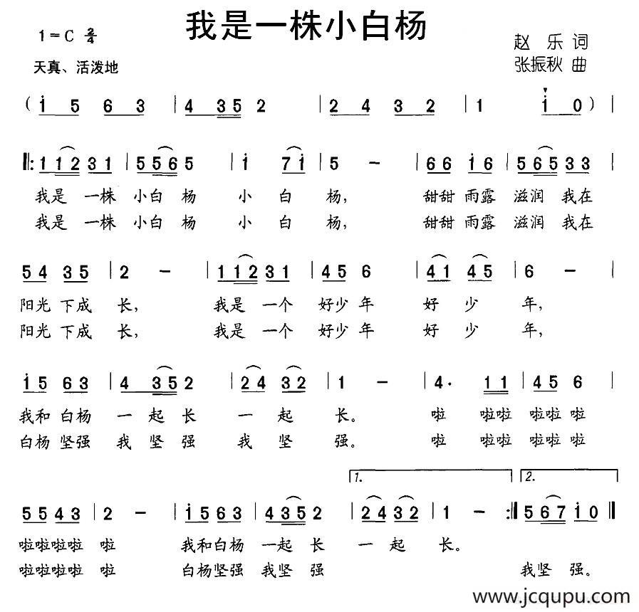 我是一株小白杨简谱