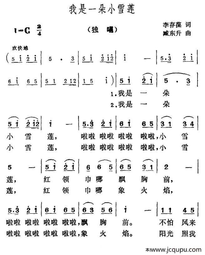 我是一朵小雪莲简谱