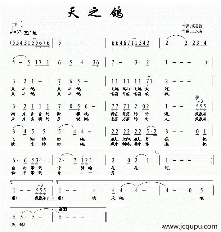 天之鸽简谱