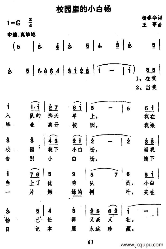 校园里的小白杨（杨春华词 王莘曲）简谱