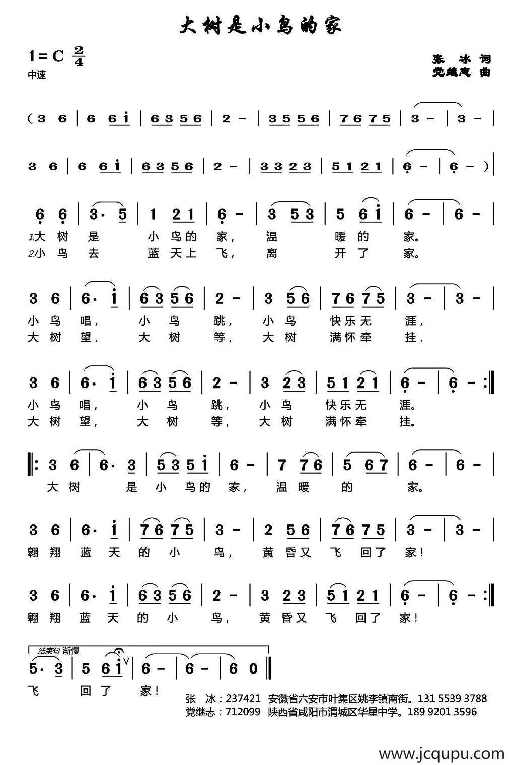 大树是小鸟的家简谱