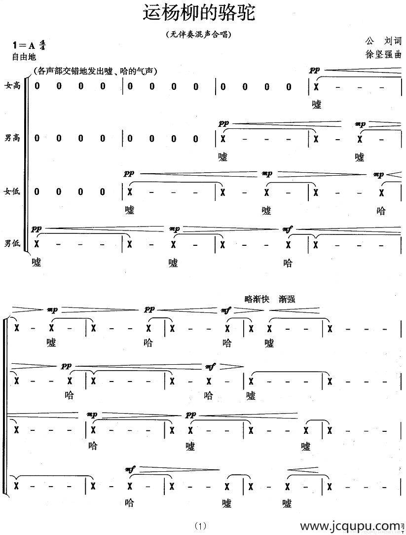 运杨柳的骆驼简谱