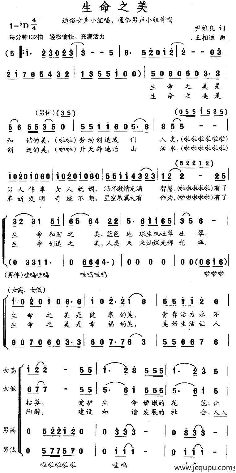 生命之美简谱