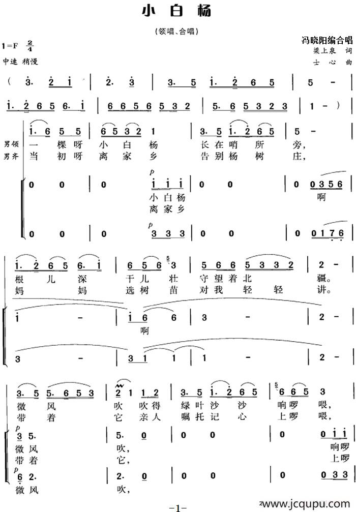 小白杨（梁上泉词 士心曲 冯晓阳编合唱）简谱