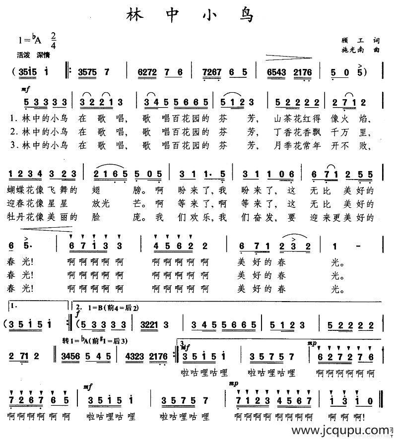 林中小鸟简谱