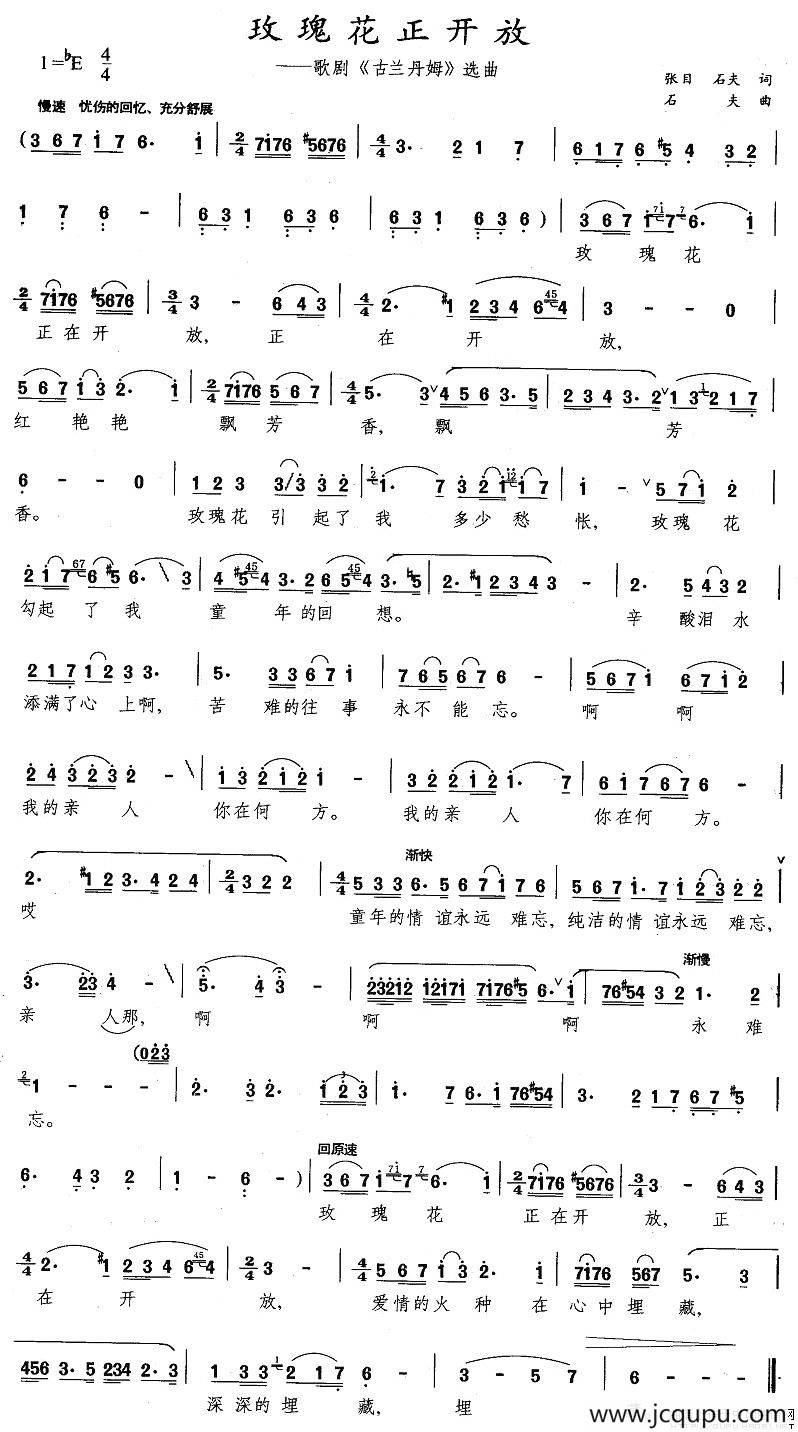 玫瑰花正开放（歌剧《古兰丹姆》选曲）简谱