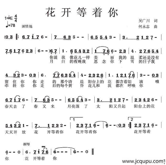 花开等着你简谱