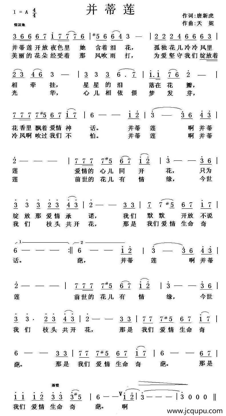 并蒂莲（唐新虎词 天妮曲）简谱