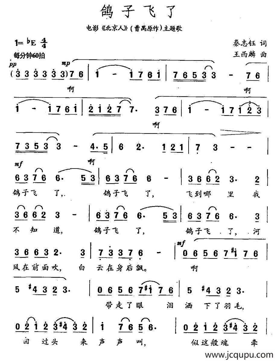 鸽子飞了（电影《北京人》主题歌）简谱