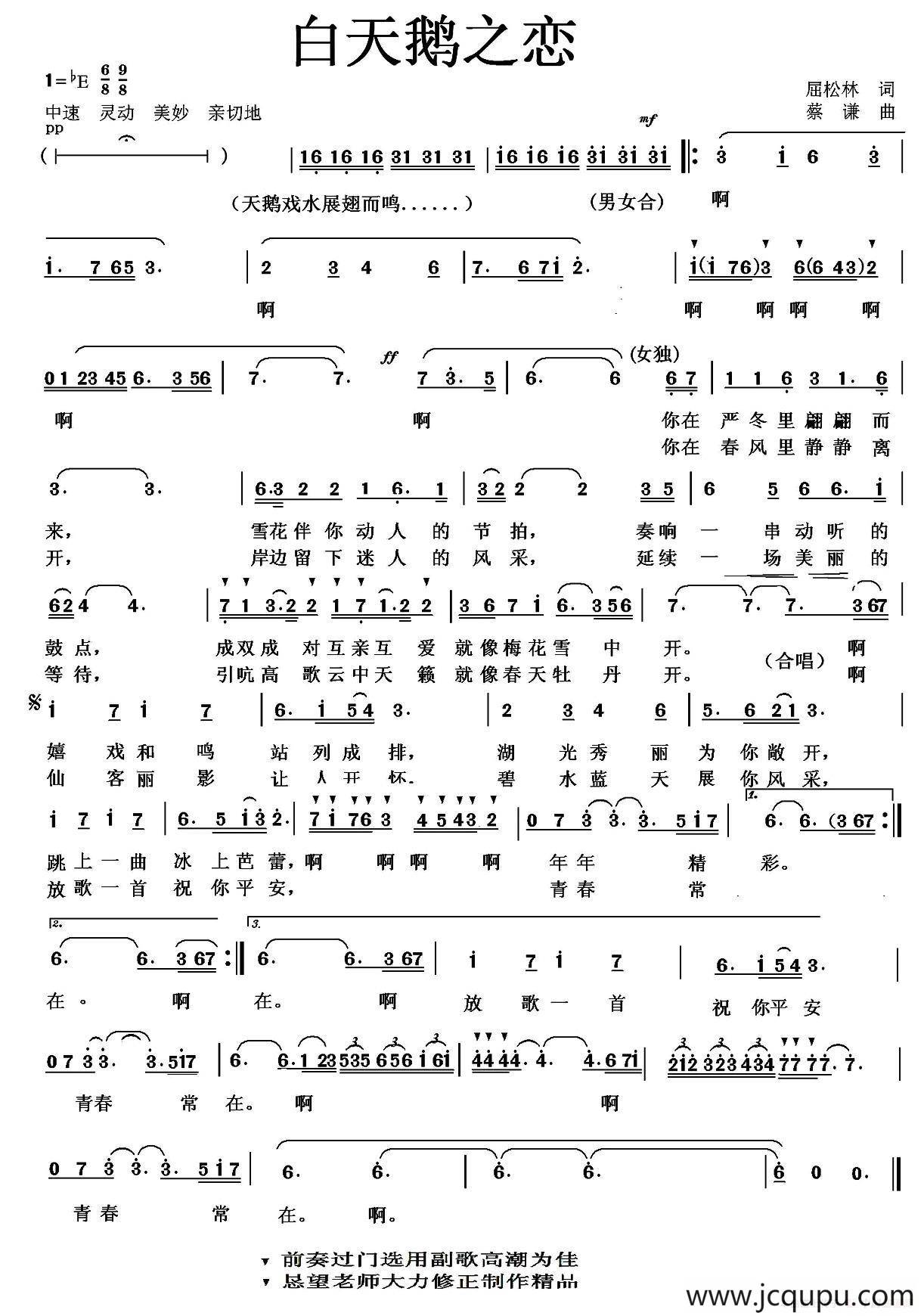 白天鹅之恋简谱