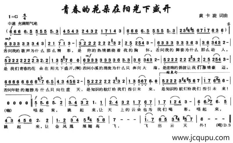 青春的花朵在阳光下盛开简谱
