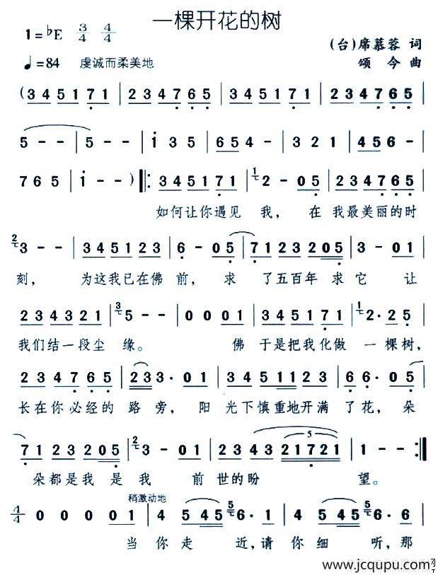 一棵开花的树（席慕蓉词 颂今曲）简谱