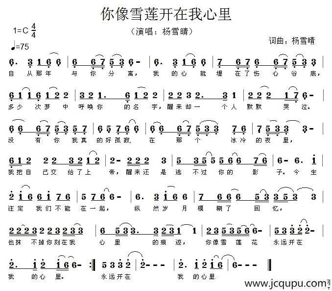 你像雪莲开在我心里简谱