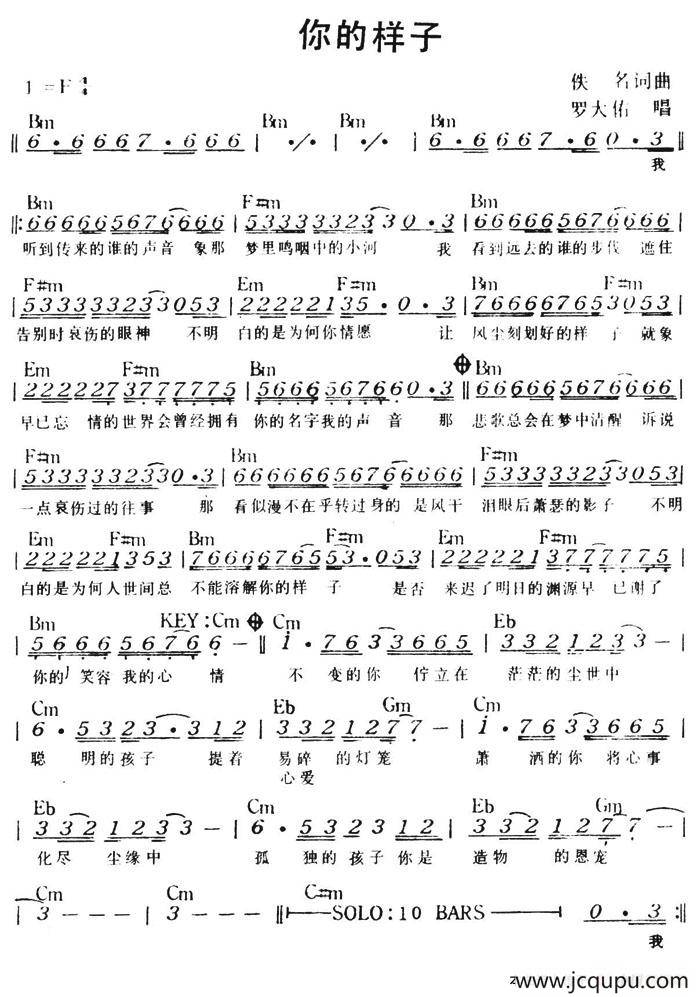 你的样子简谱
