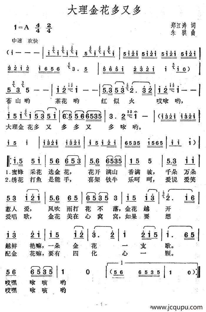 大理金花多又多简谱