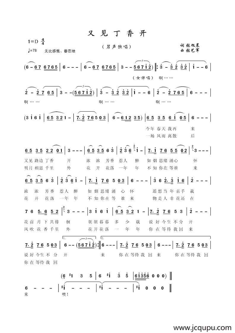 又见丁香开简谱