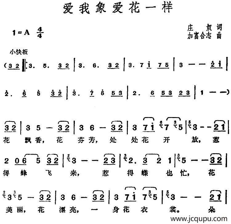邓丽君演唱金曲：爱我象爱花一样简谱