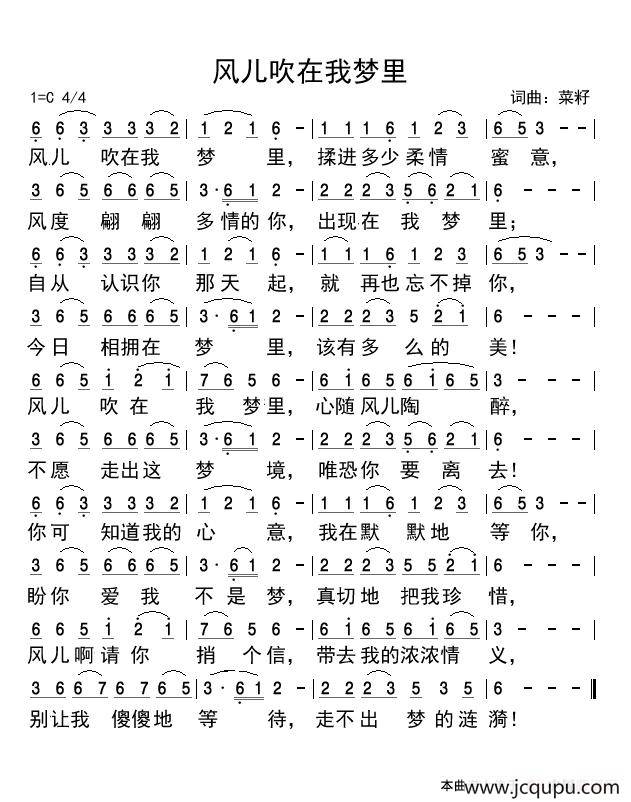 风儿吹在我梦里简谱