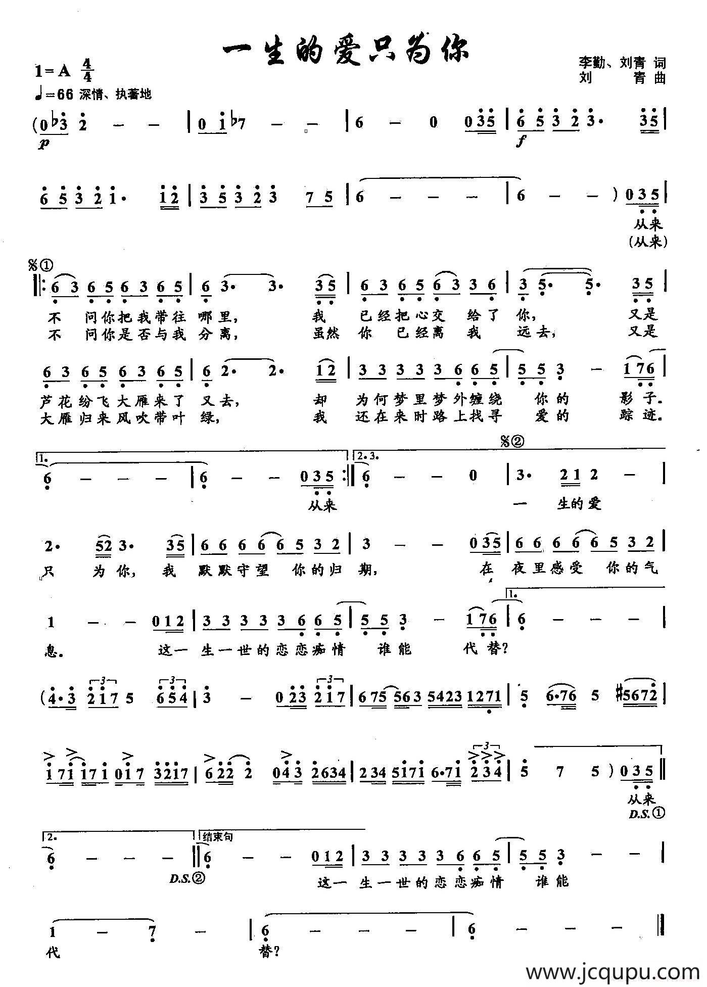 ​31一生的爱只为你（双谱）简谱
