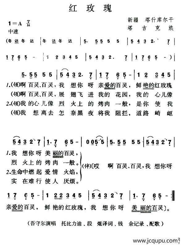 红玫瑰（塔吉克族民歌）简谱