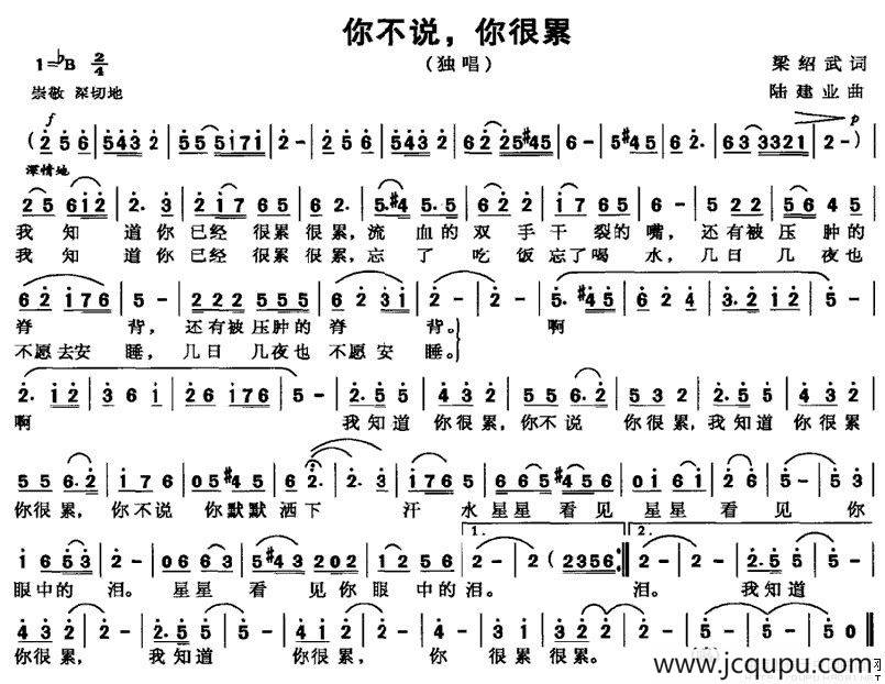 你不说，你很累简谱