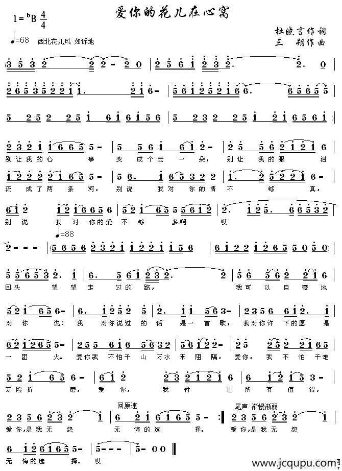爱你的花儿在心窝简谱