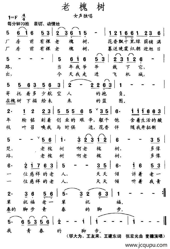 老槐树简谱