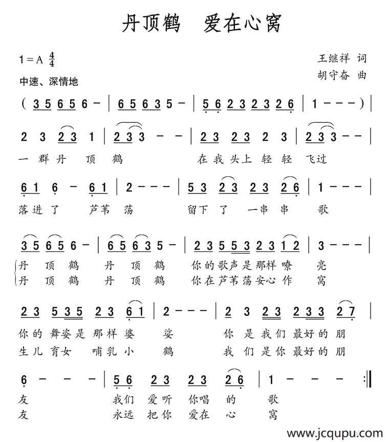 丹顶鹤 爱在心窝简谱