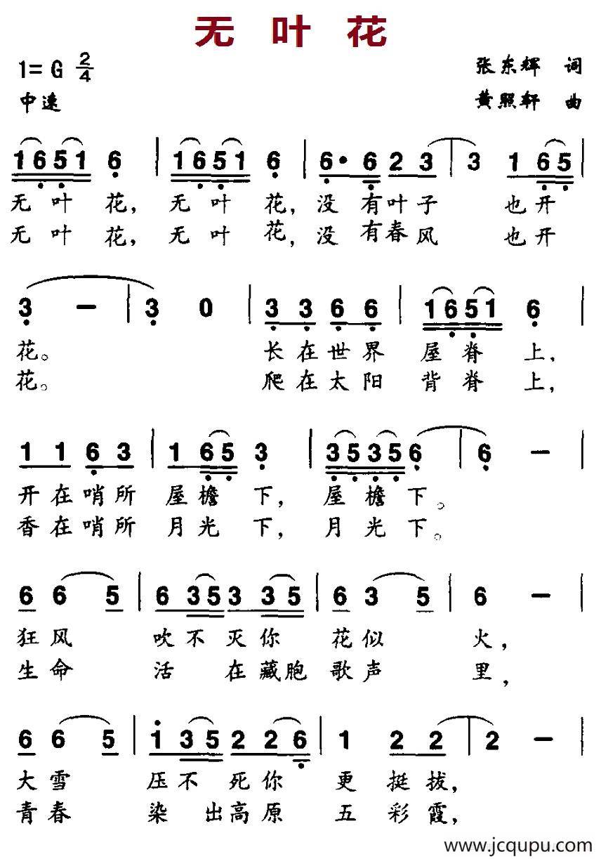 无叶花简谱