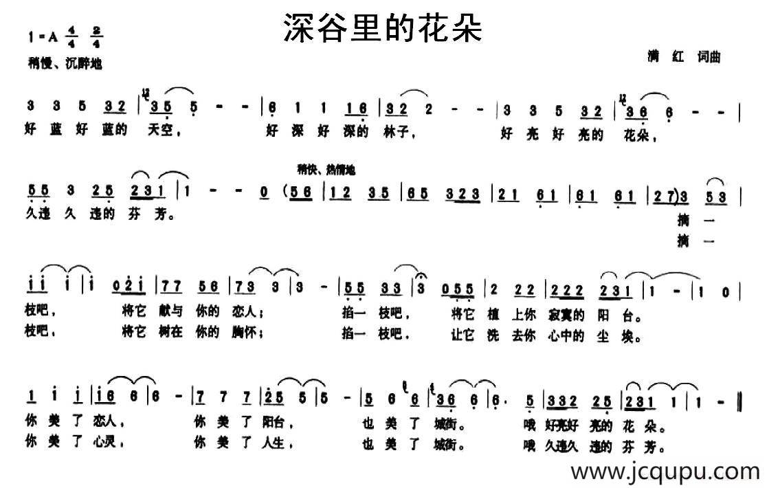 深谷里的花朵简谱