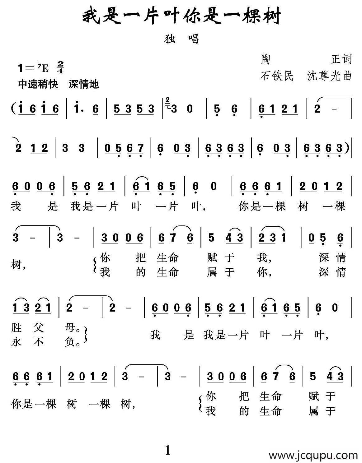 我是一片叶 你是一棵树简谱