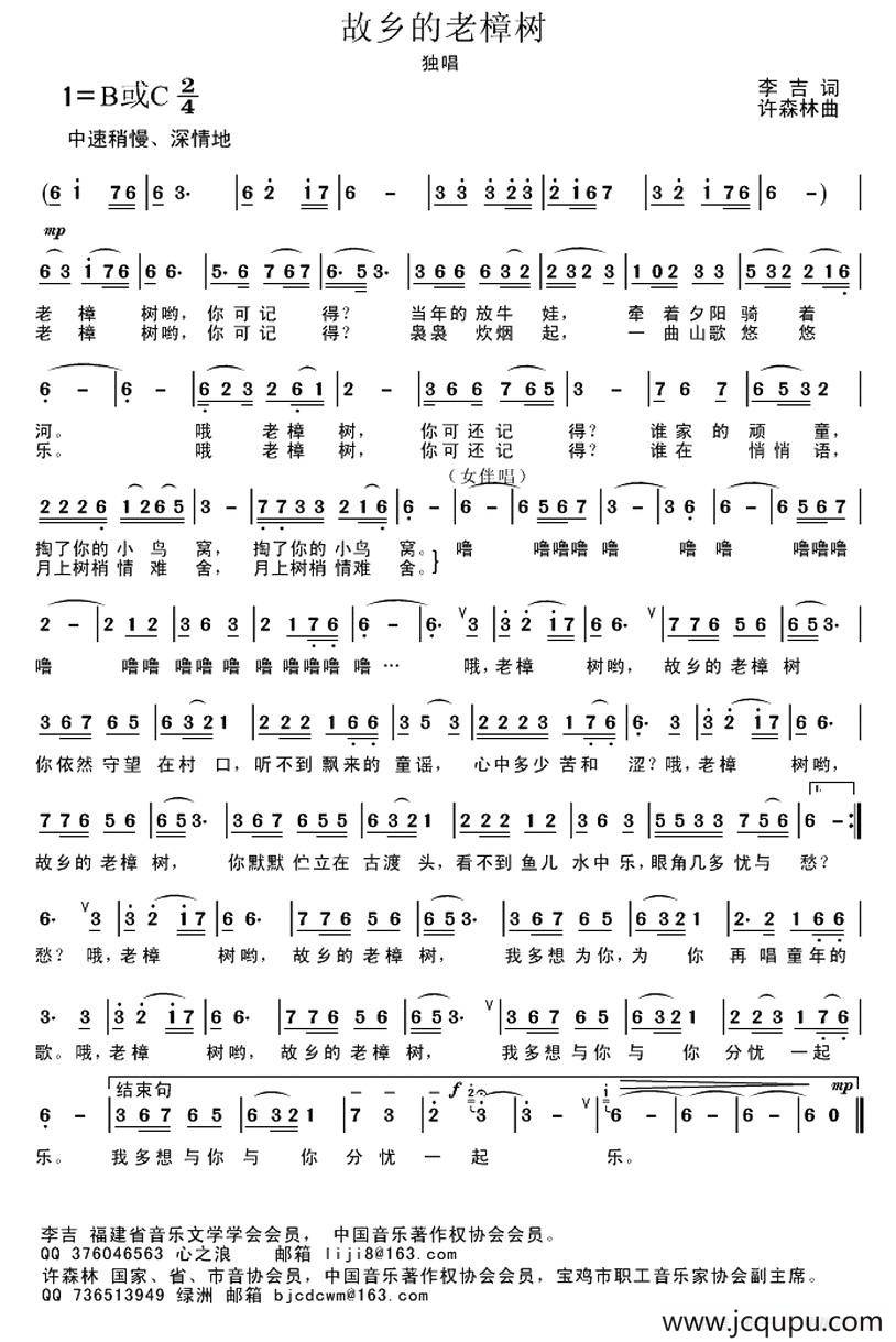 故乡的老樟树简谱