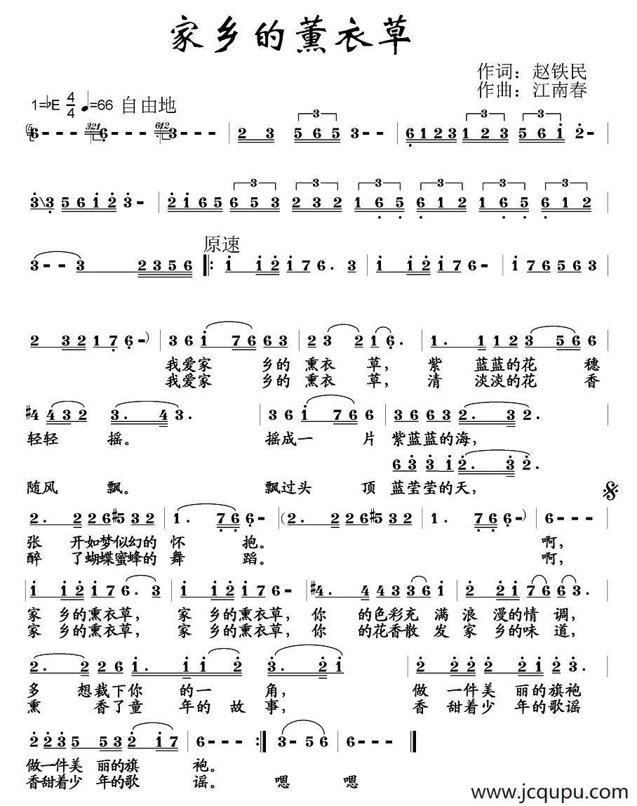 家乡的薰衣草简谱