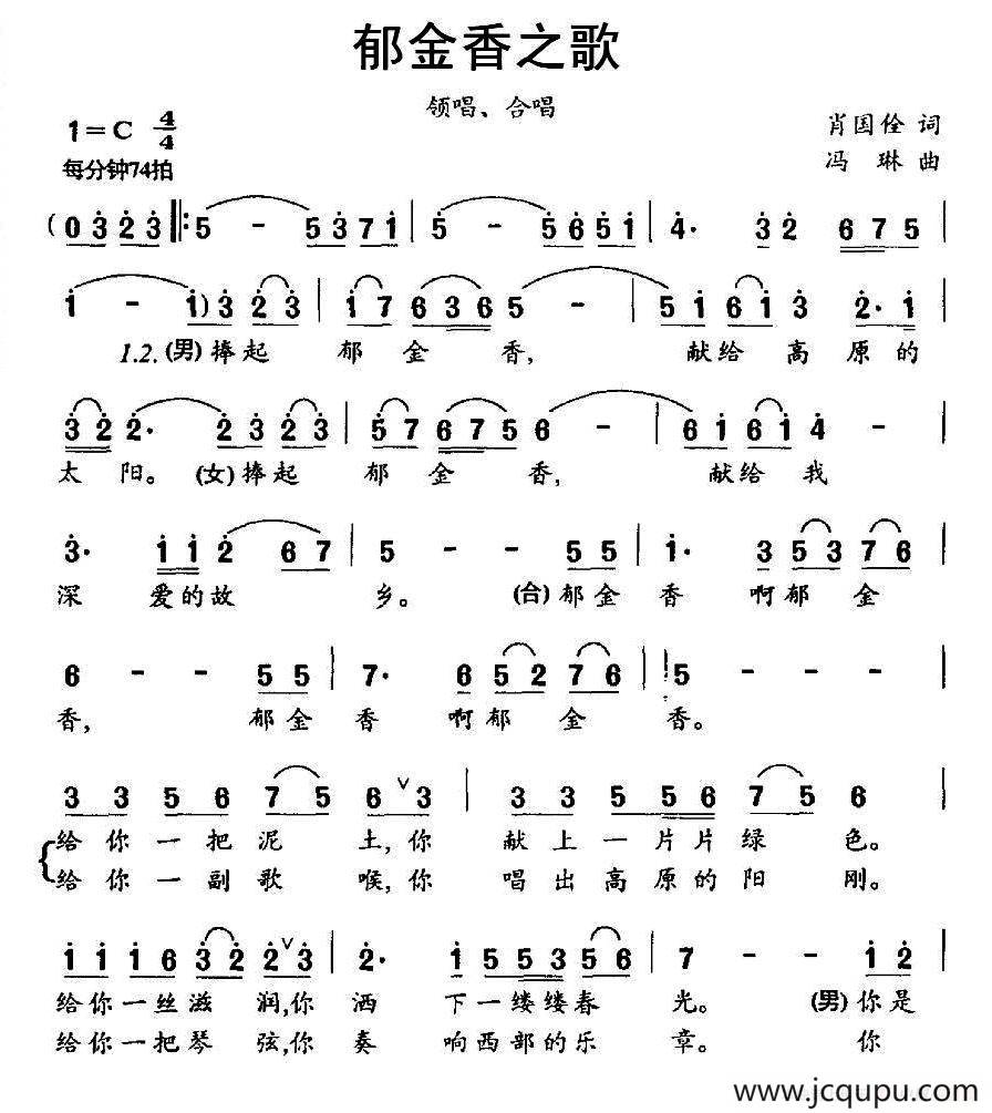 郁金香之歌简谱