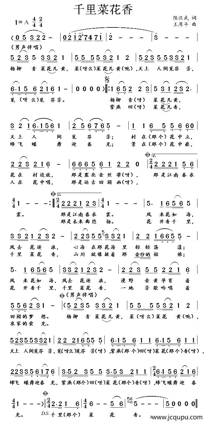 千里菜花香简谱