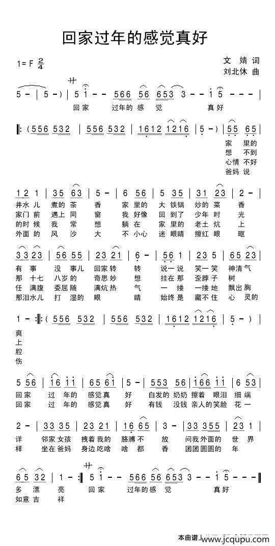 回家过年的感觉真好简谱