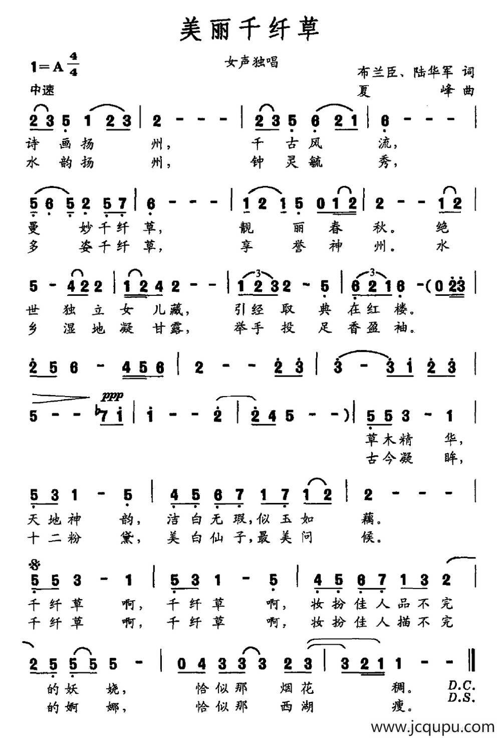 美丽千纤草简谱