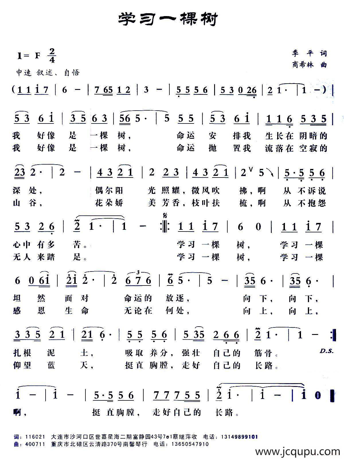 学习一棵树简谱