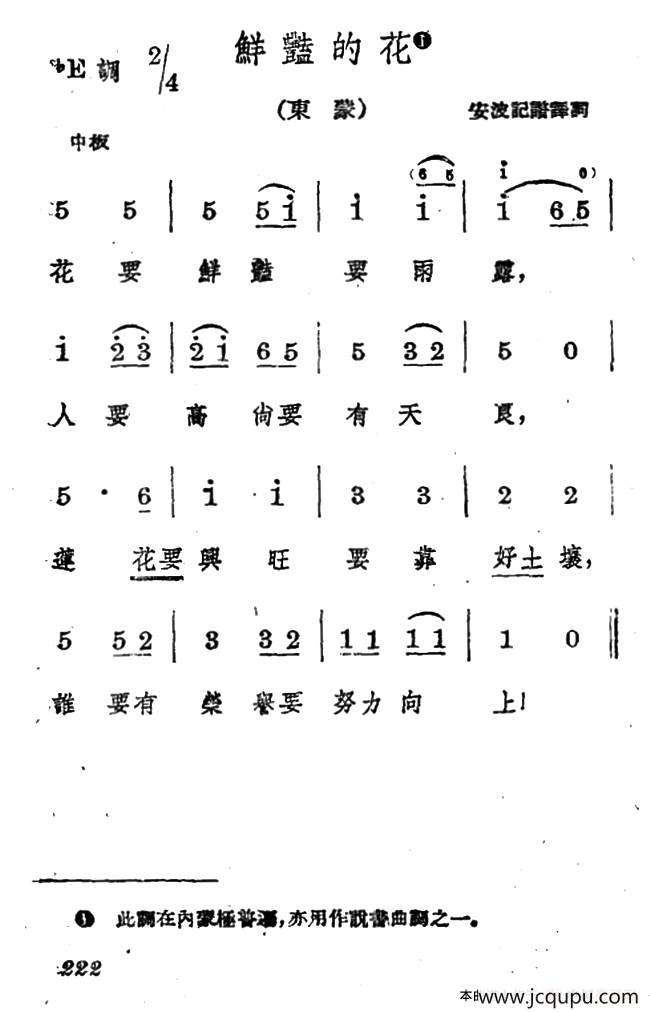 鲜艳的花简谱